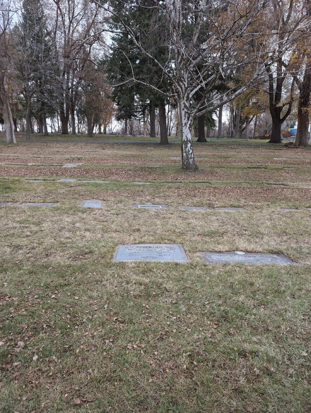 Tyler Steven Peterson's grave. Photo 2