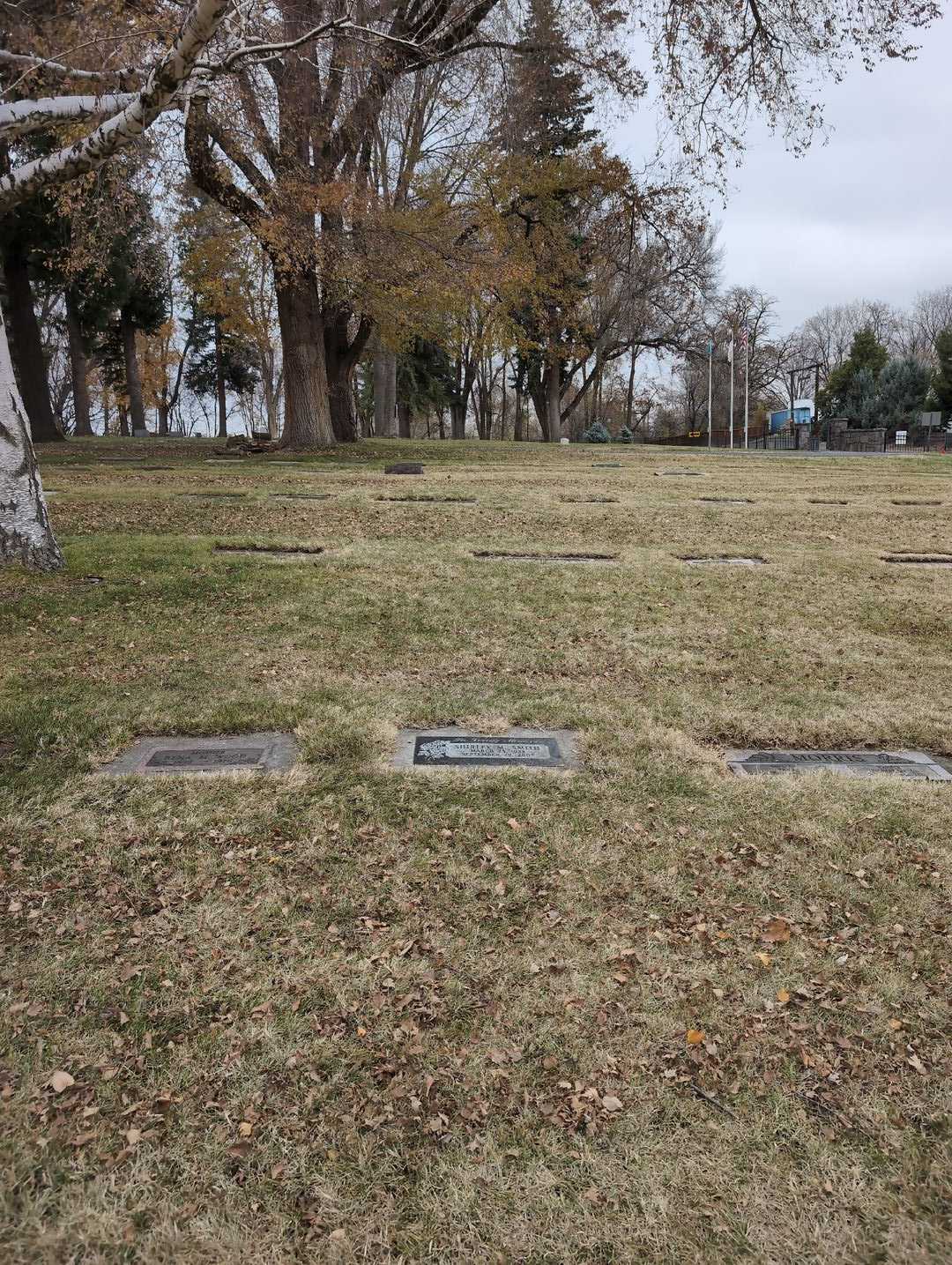 Shirley M. Smith's grave. Photo 2