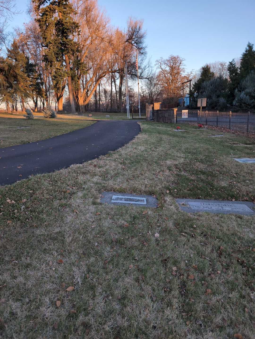 Goldie Greenwood's grave. Photo 2