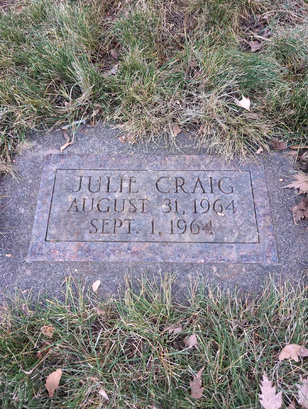 Julia Craig's grave. Photo 3