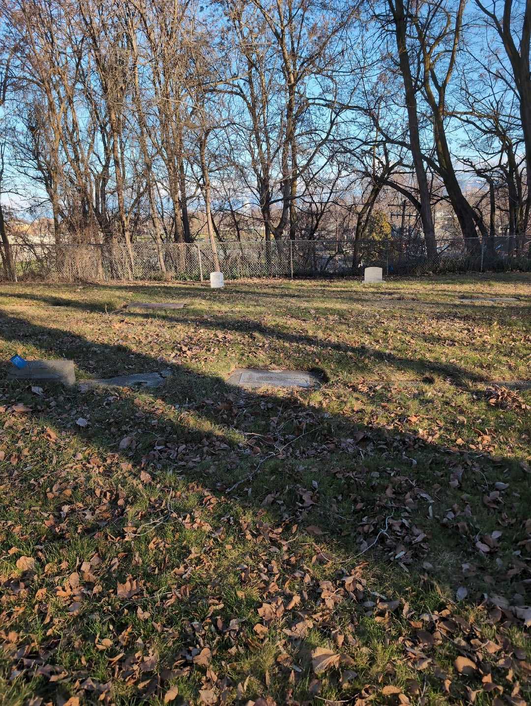 Lester H. Zimmerman's grave. Photo 2
