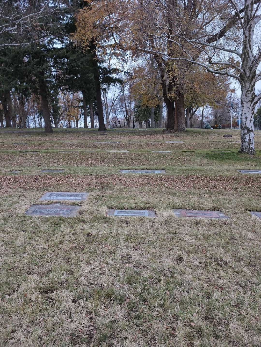 Gust David Schiller's grave. Photo 2