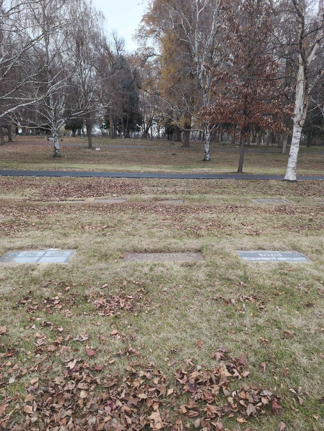 Lillian Scheresky's grave. Photo 2