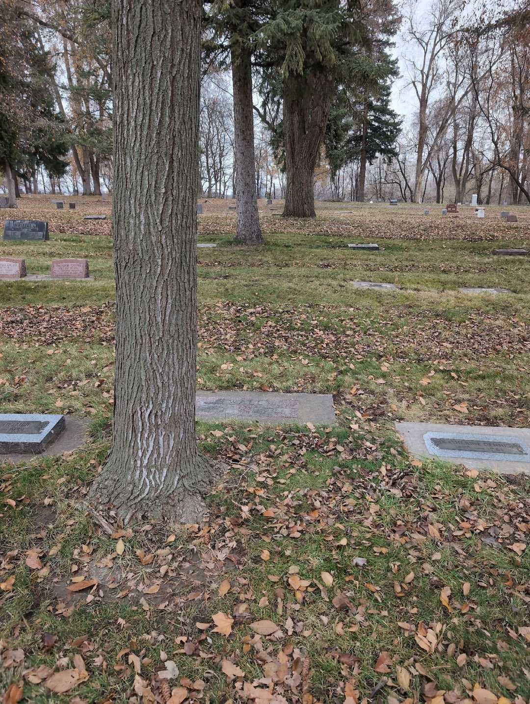August C. Wall's grave. Photo 2