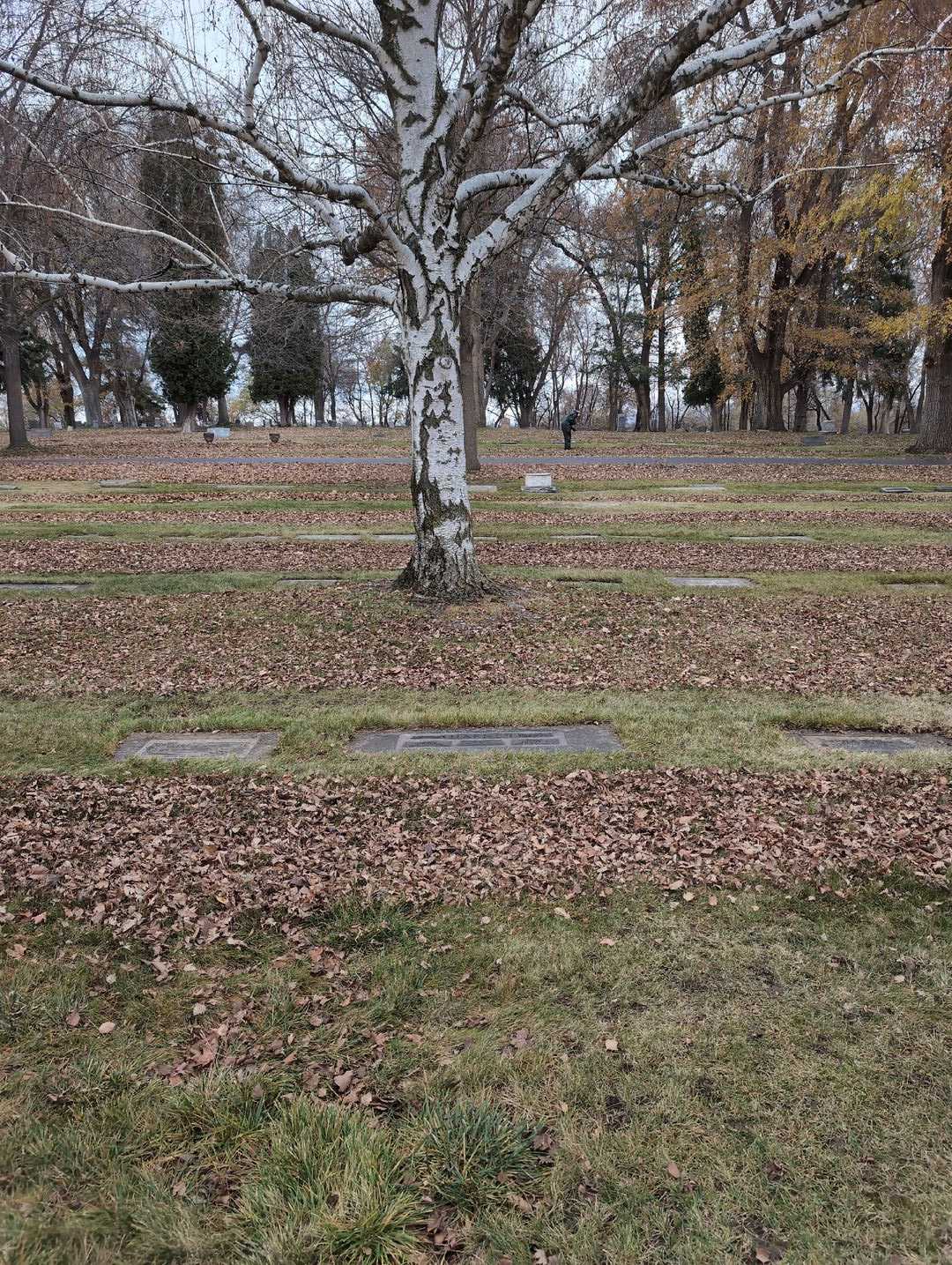 Frank S. Hafner's grave. Photo 2