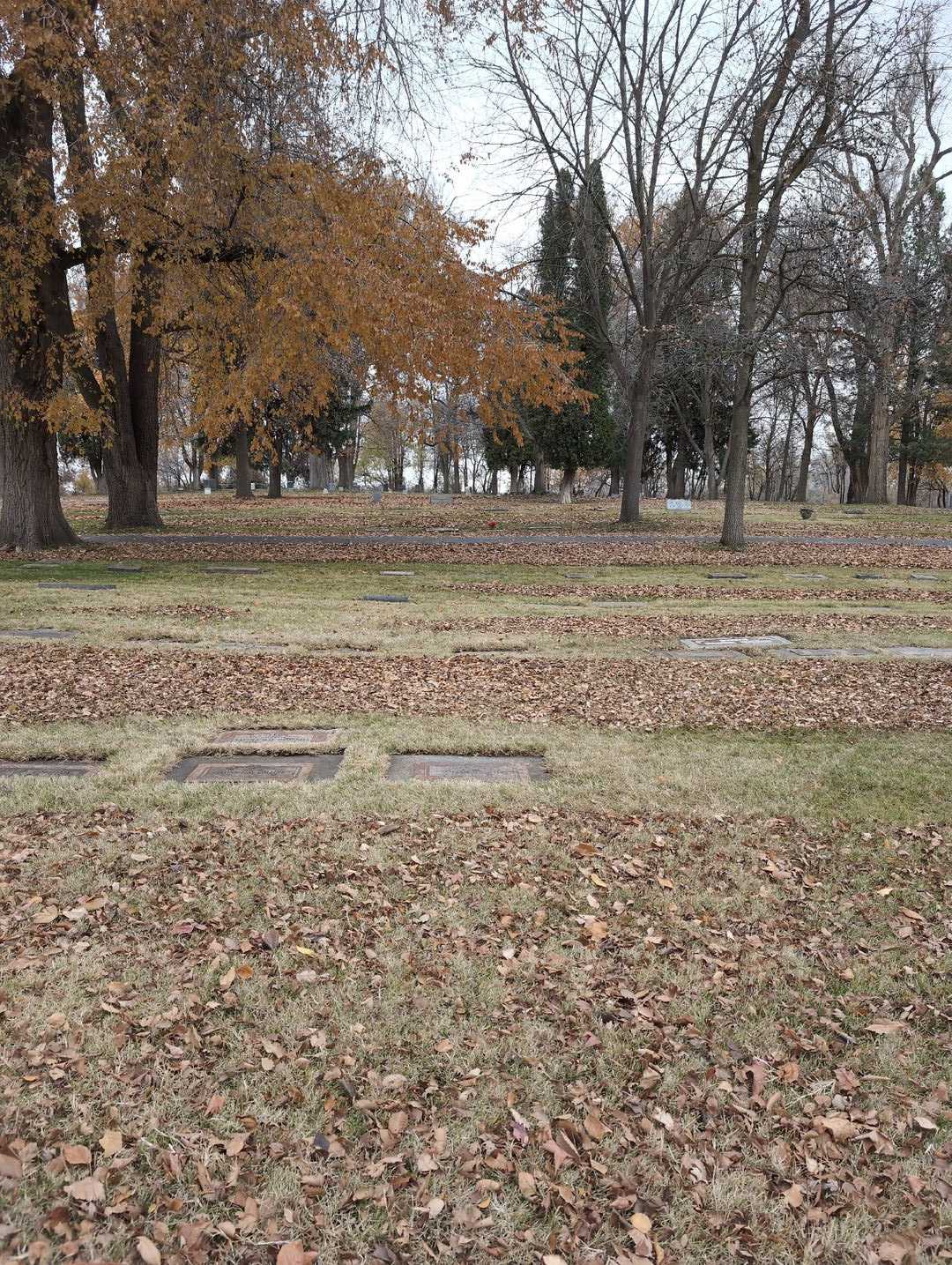 Raymond L. Collins's grave. Photo 2