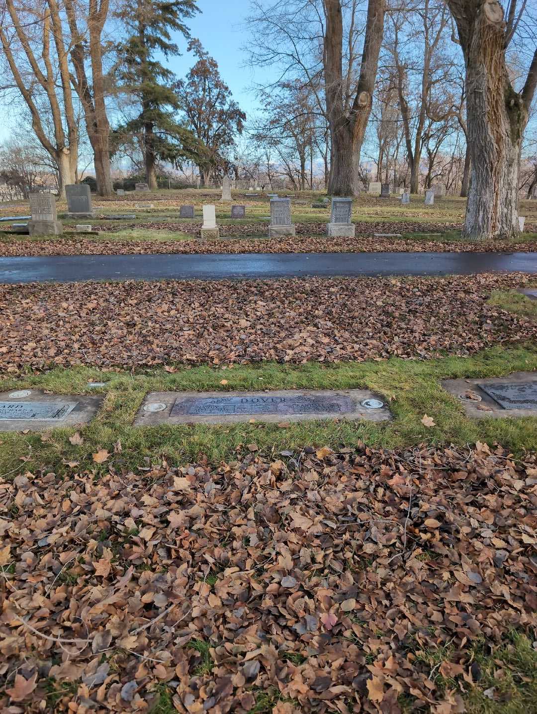 Randall Wesley Dover's grave. Photo 2