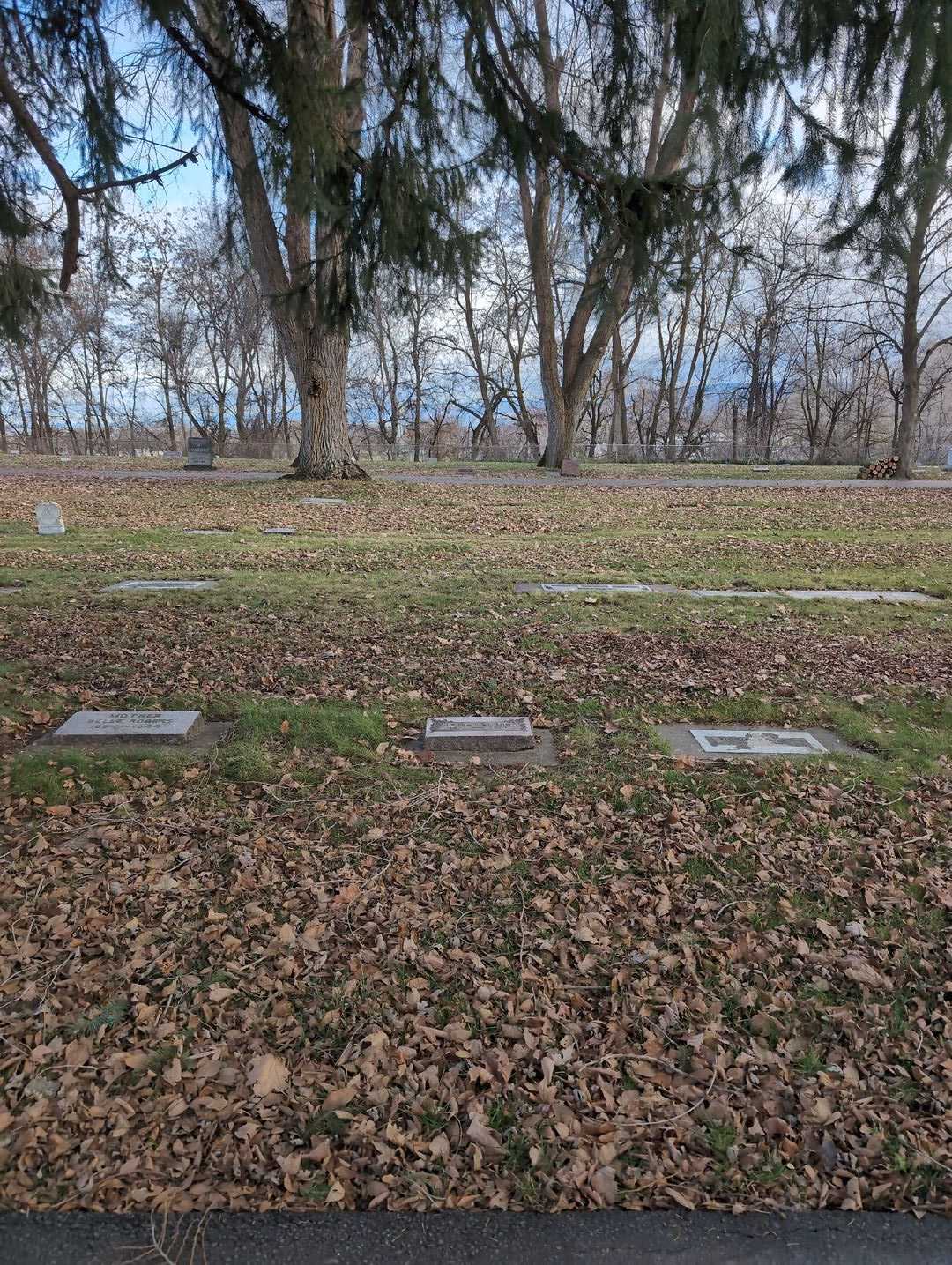 Clara E. Wilson's grave. Photo 2