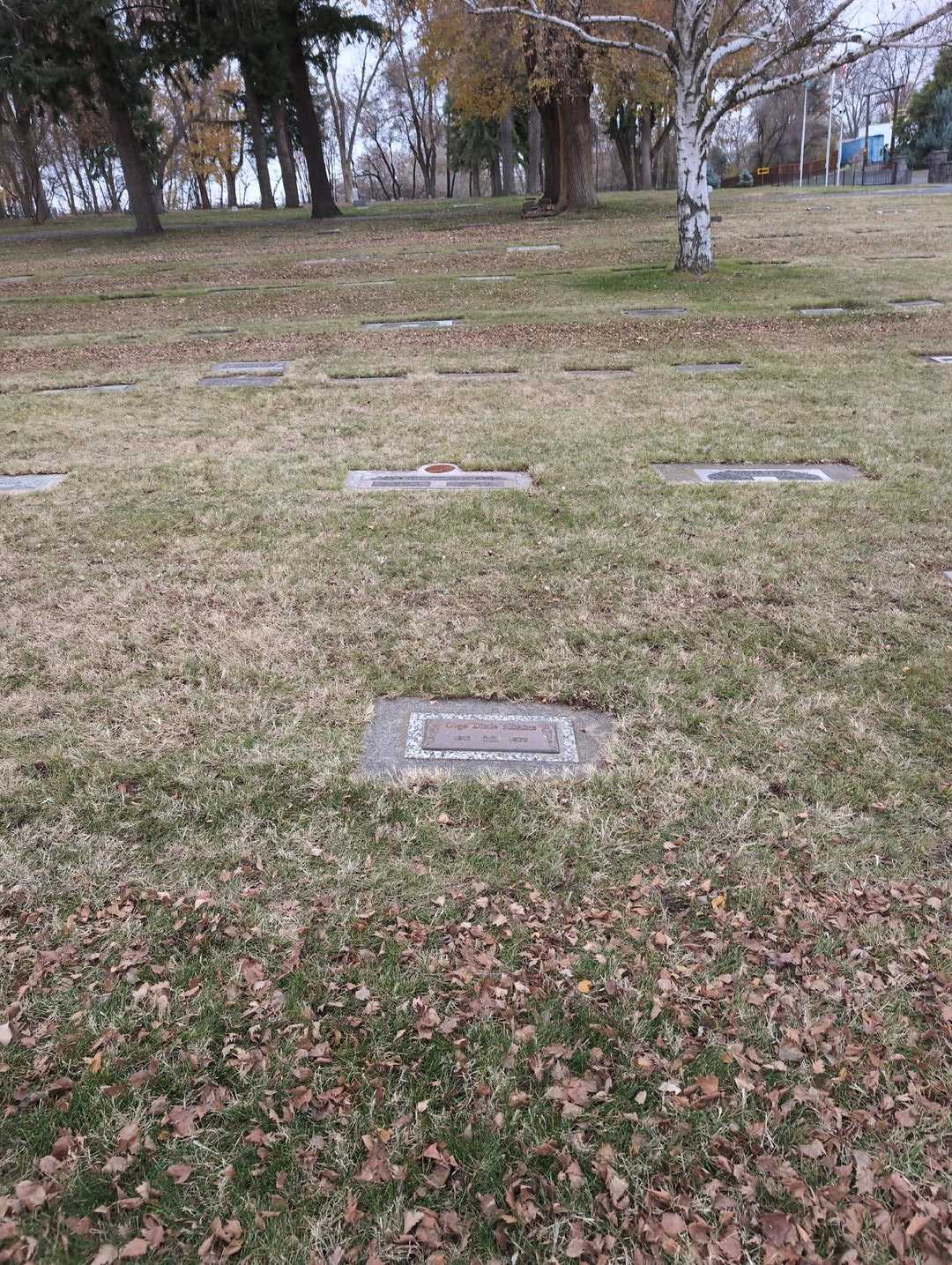 Olga "Dixie" Adkins's grave. Photo 2