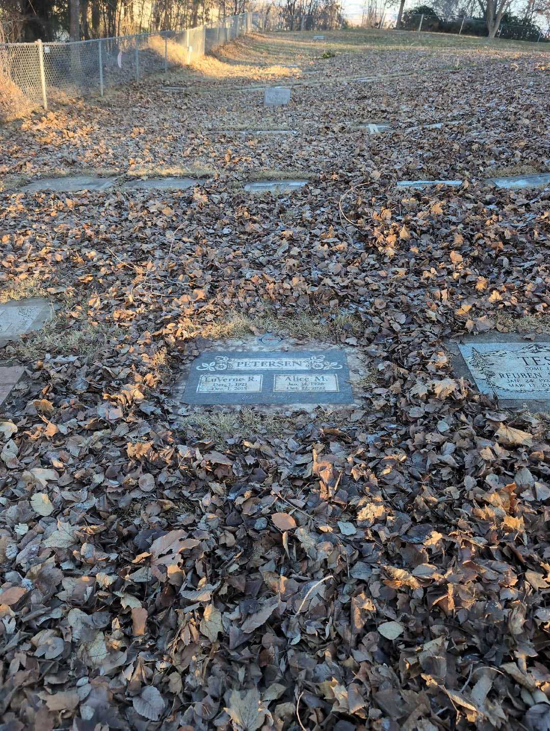 Alice M. Peterson's grave. Photo 2