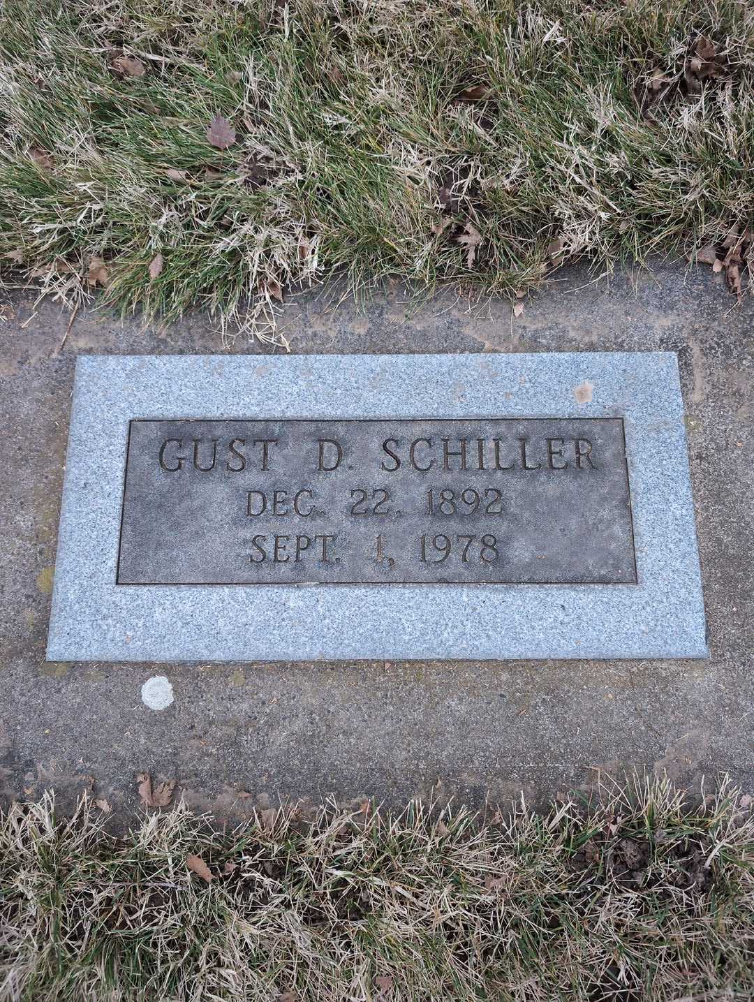 Gust David Schiller's grave. Photo 3