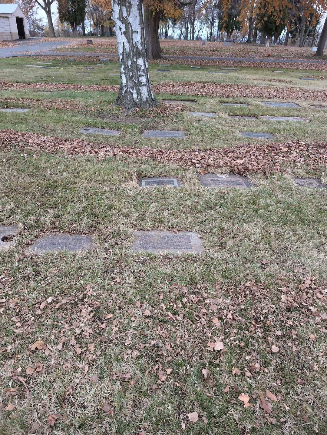 Alyssa Marie Ziegele's grave. Photo 2