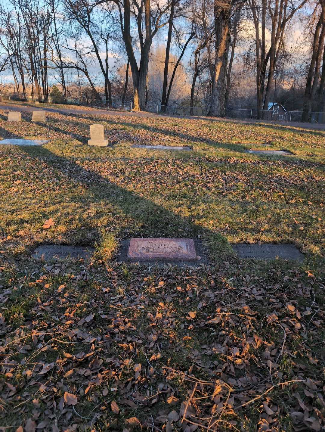 Anna B. Feigner's grave. Photo 2