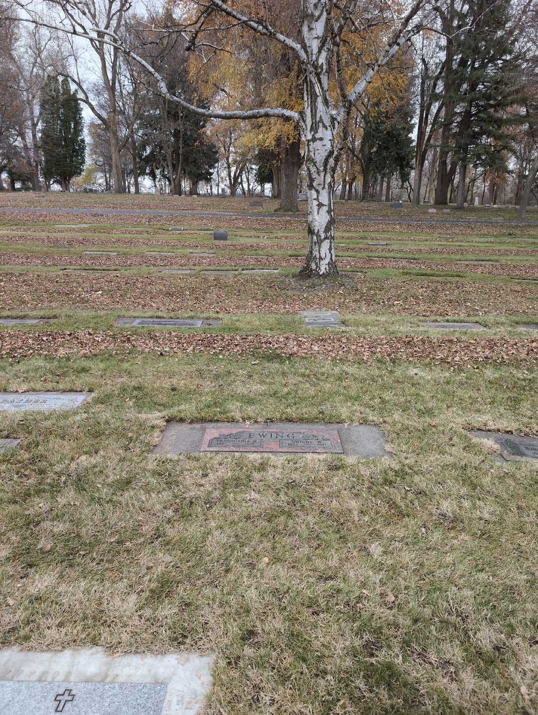 Theodoshia H. Ewing's grave. Photo 2