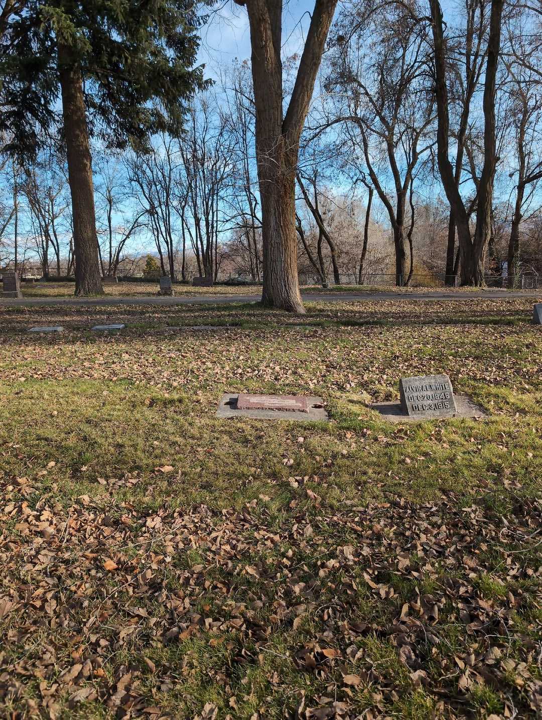 Eugene E. Knapp's grave. Photo 2