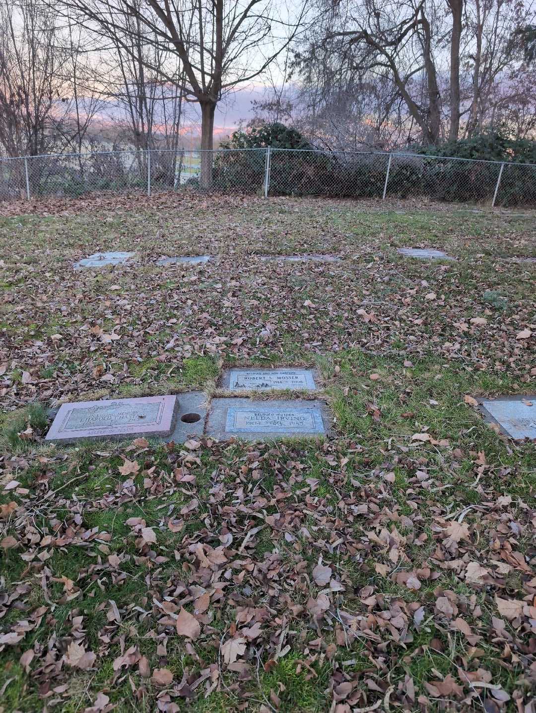 Nelda Irving's grave. Photo 4