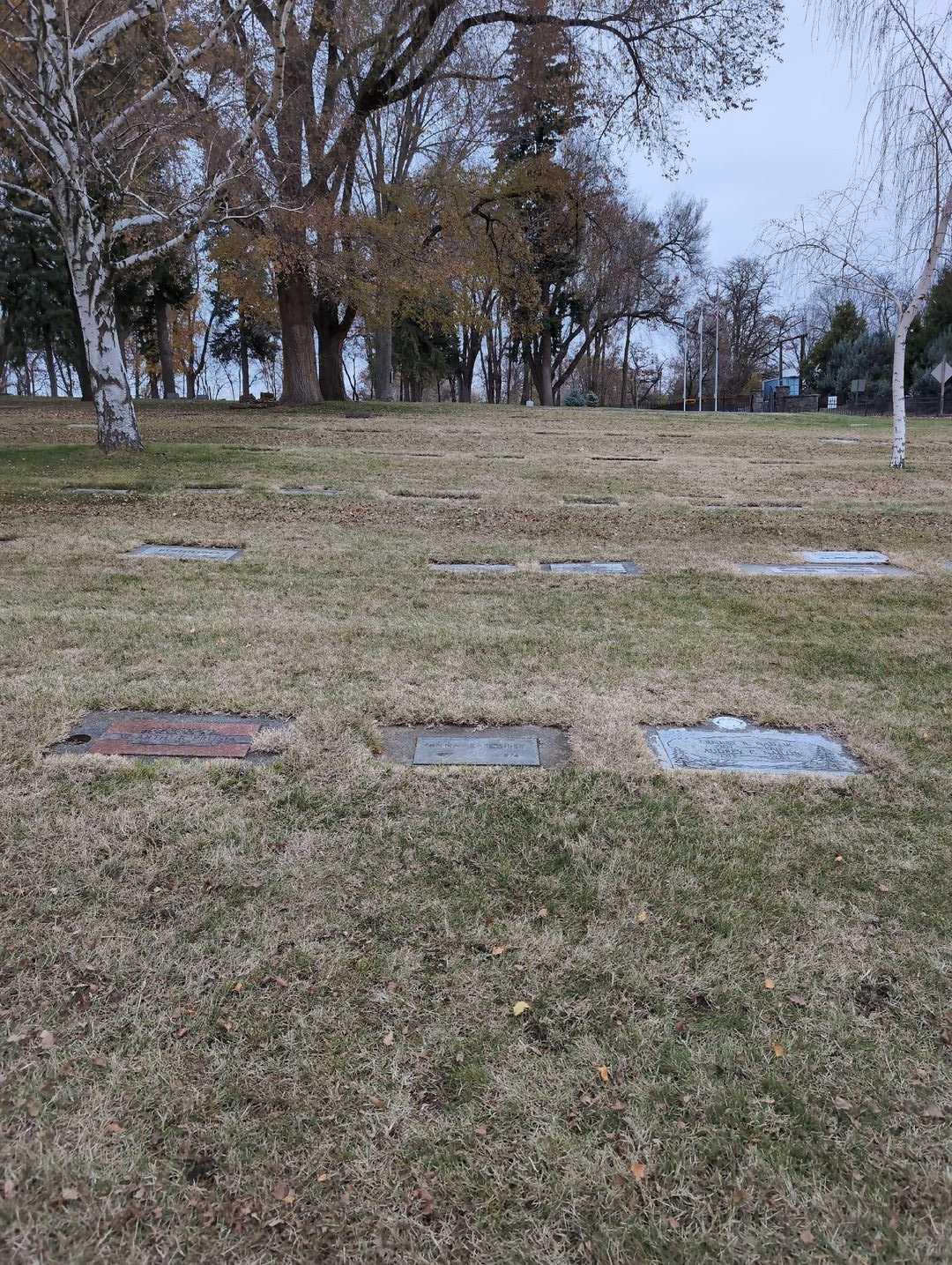 Anna Eleanor Tolley's grave. Photo 2