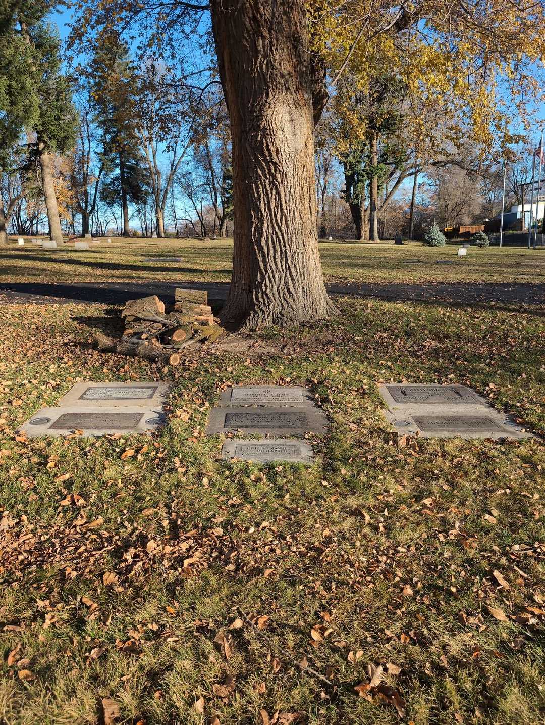 Barbara Qualley's grave. Photo 4