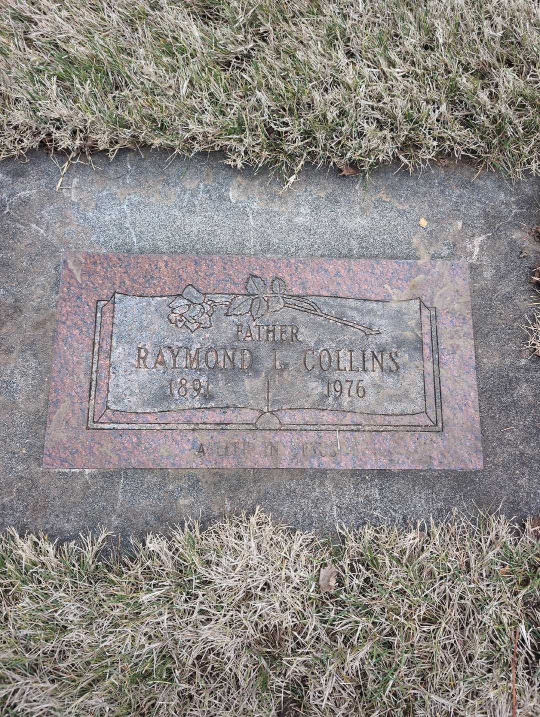 Raymond L. Collins's grave. Photo 3