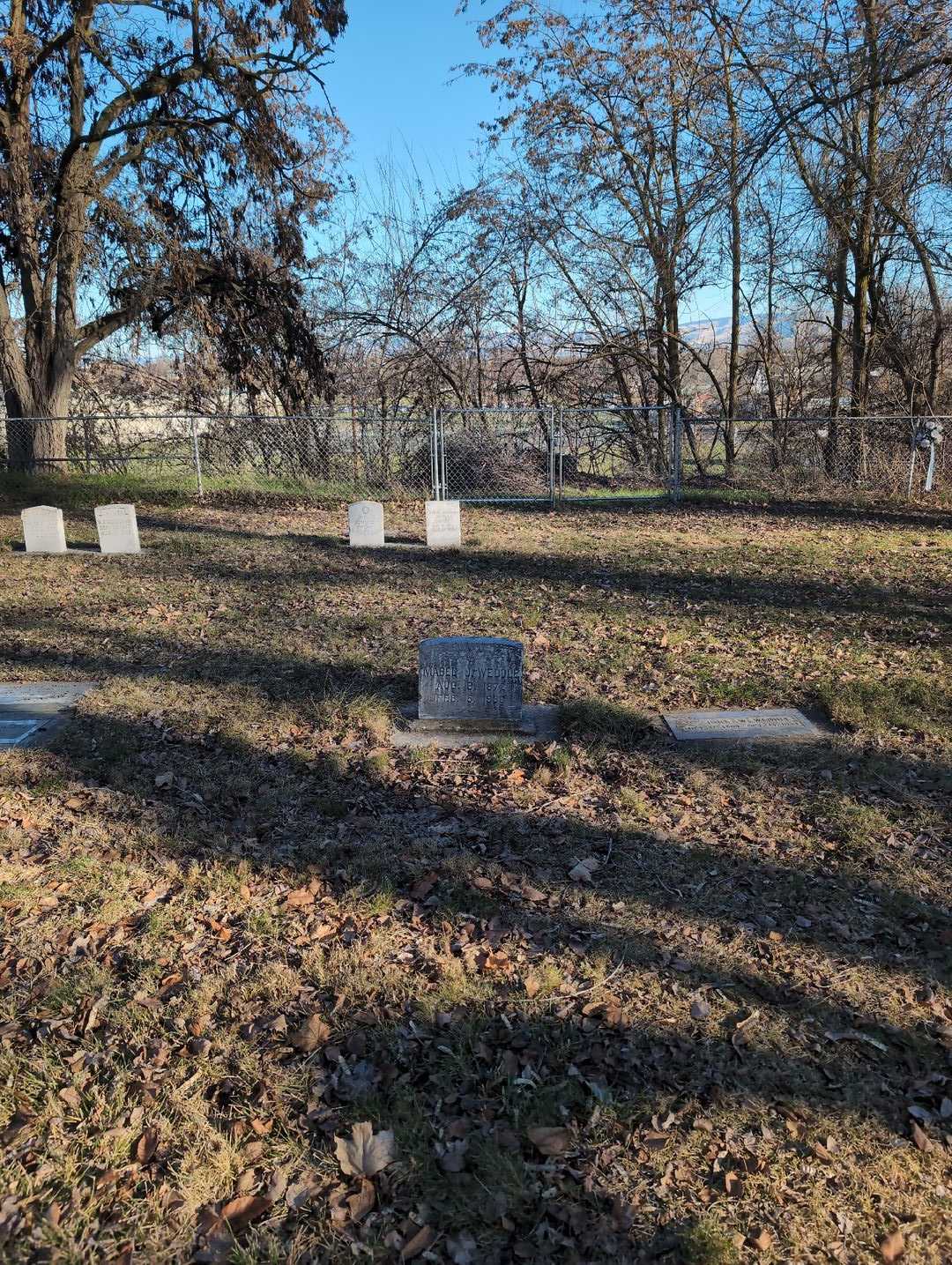Mabel J. Weddle's grave. Photo 2