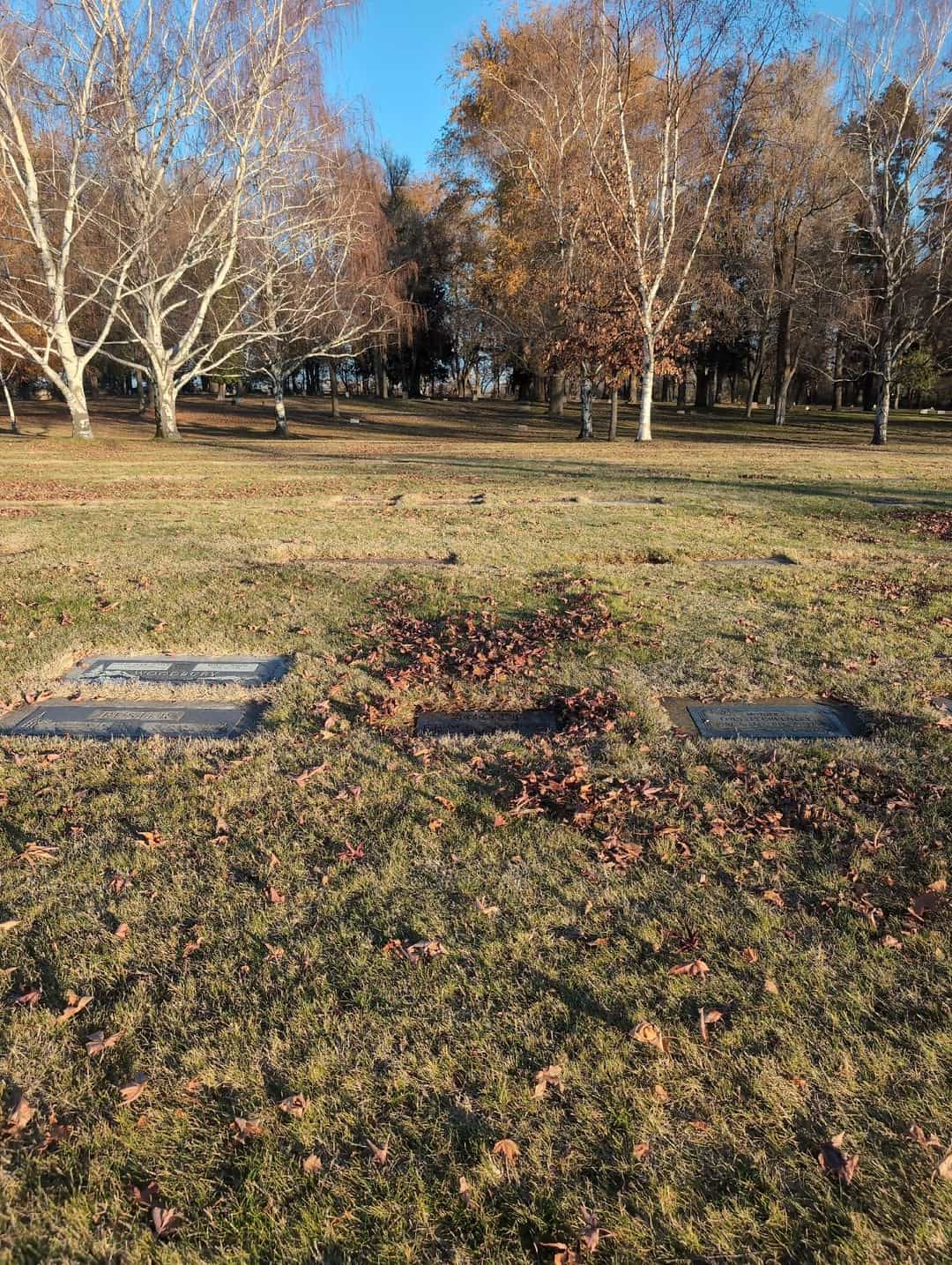 Duane I. Scott's grave. Photo 2
