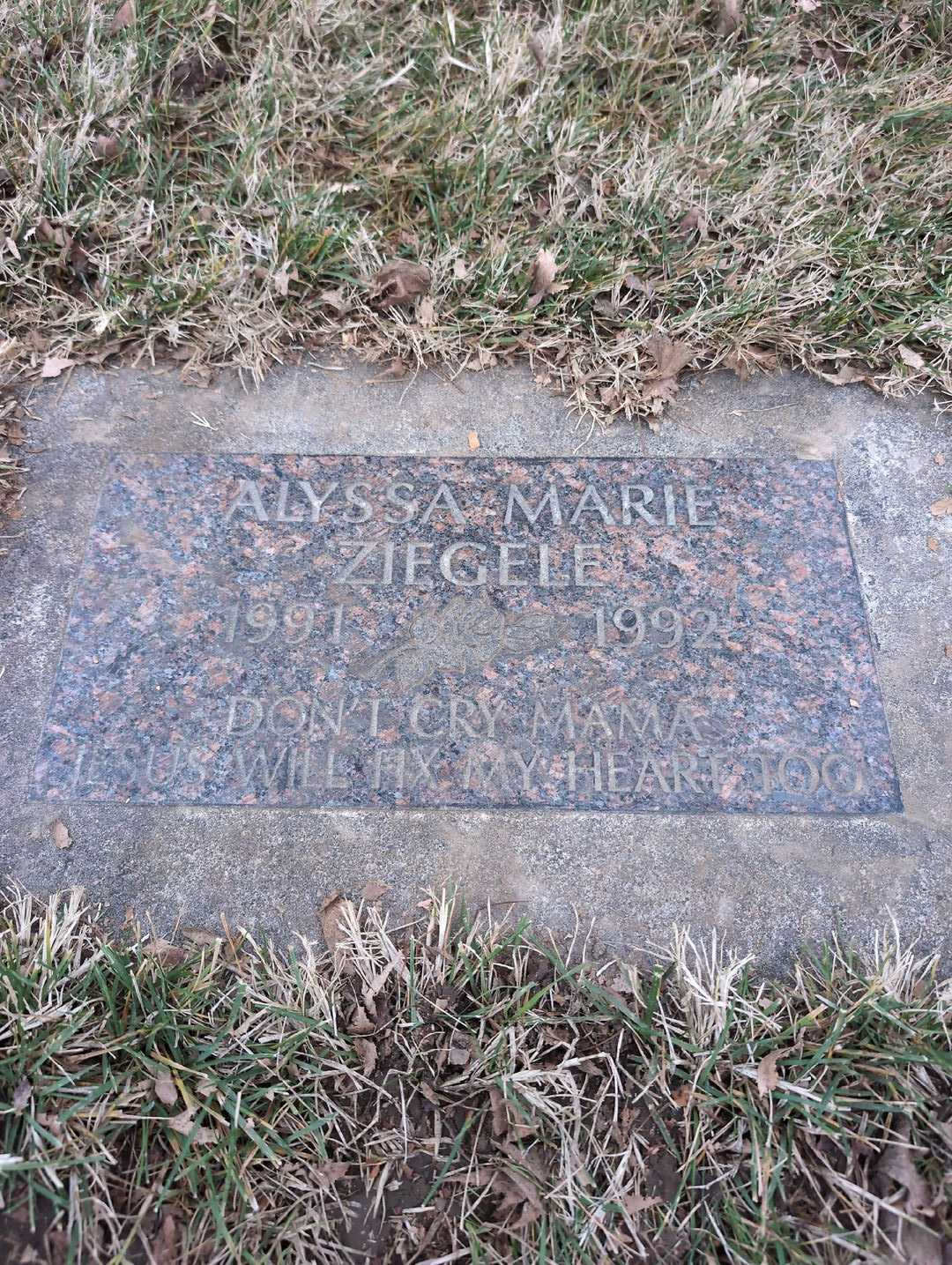 Alyssa Marie Ziegele's grave. Photo 3