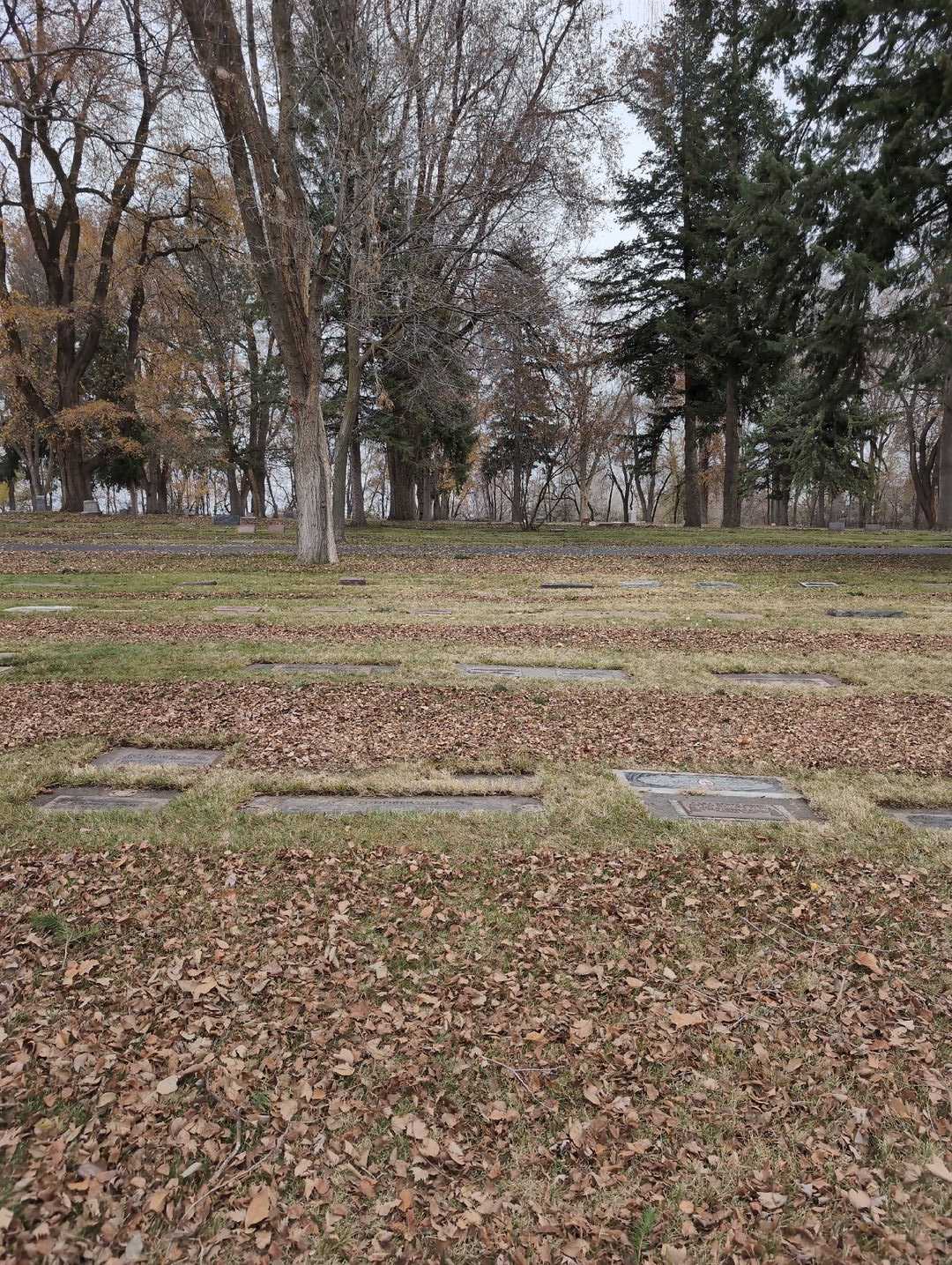 Donald R. "Gus" Todorovich's grave. Photo 4