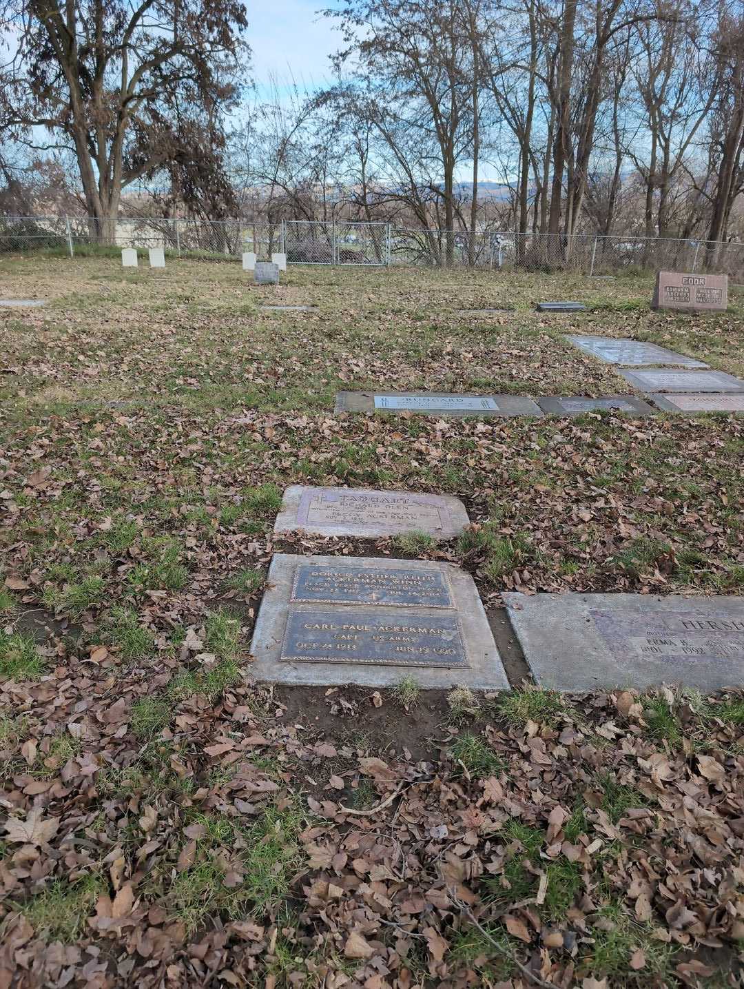 Dorice Esther Reith Ackerman Winn's grave. Photo 4