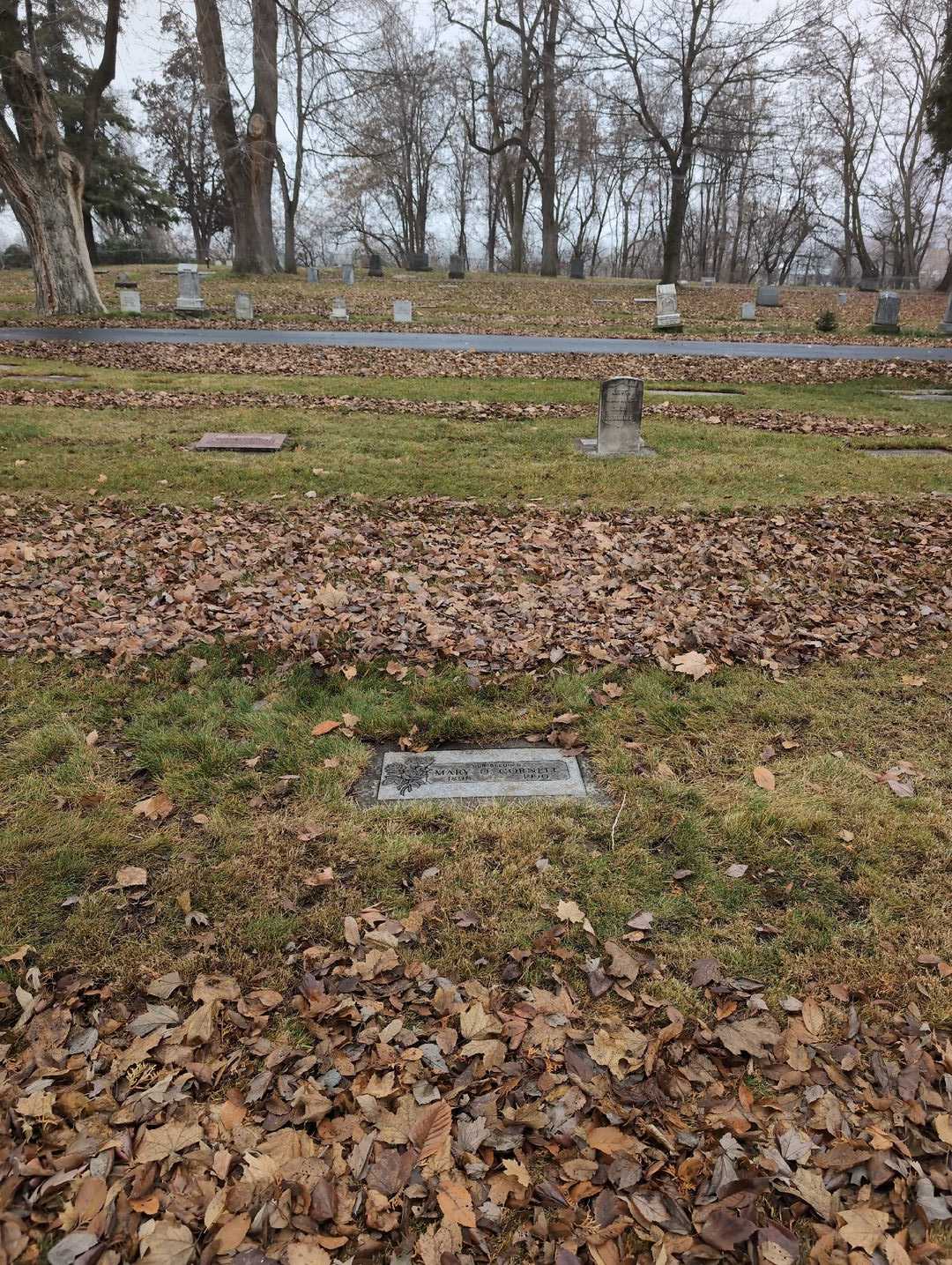 Mary O. Cornell's grave. Photo 2