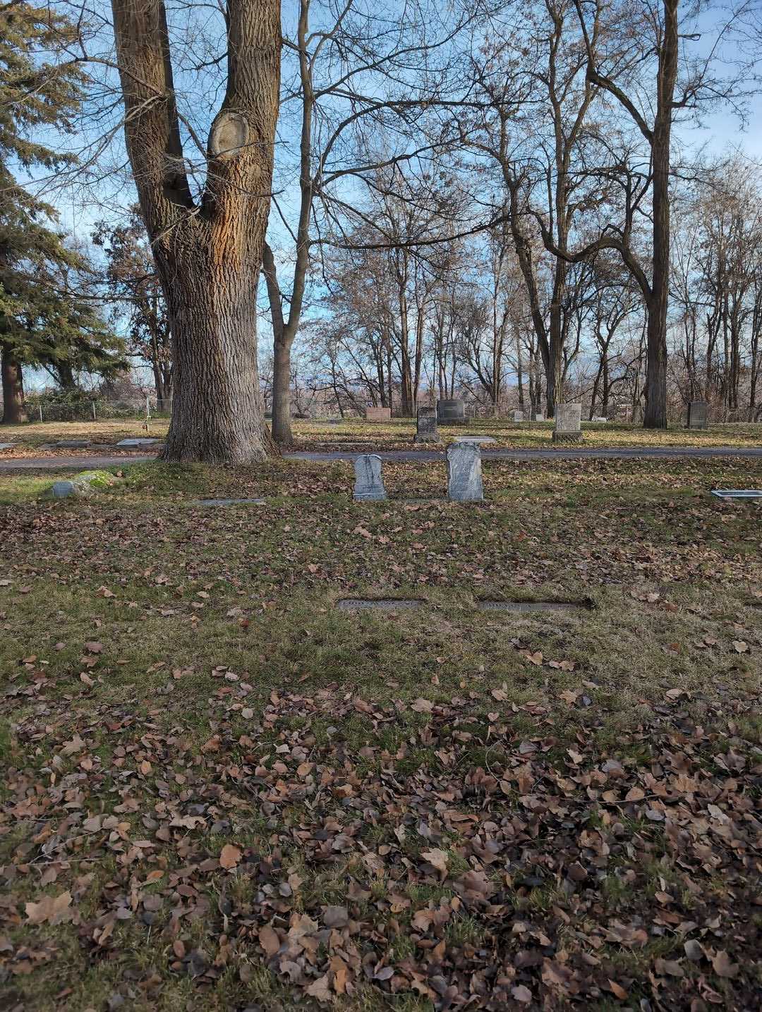 Lois M. Weaver's grave. Photo 2