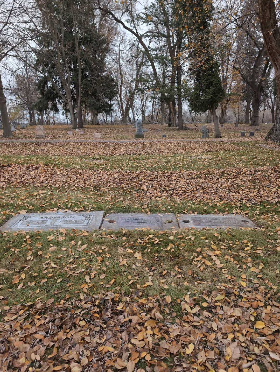 Walter Morell Anderson's grave. Photo 2