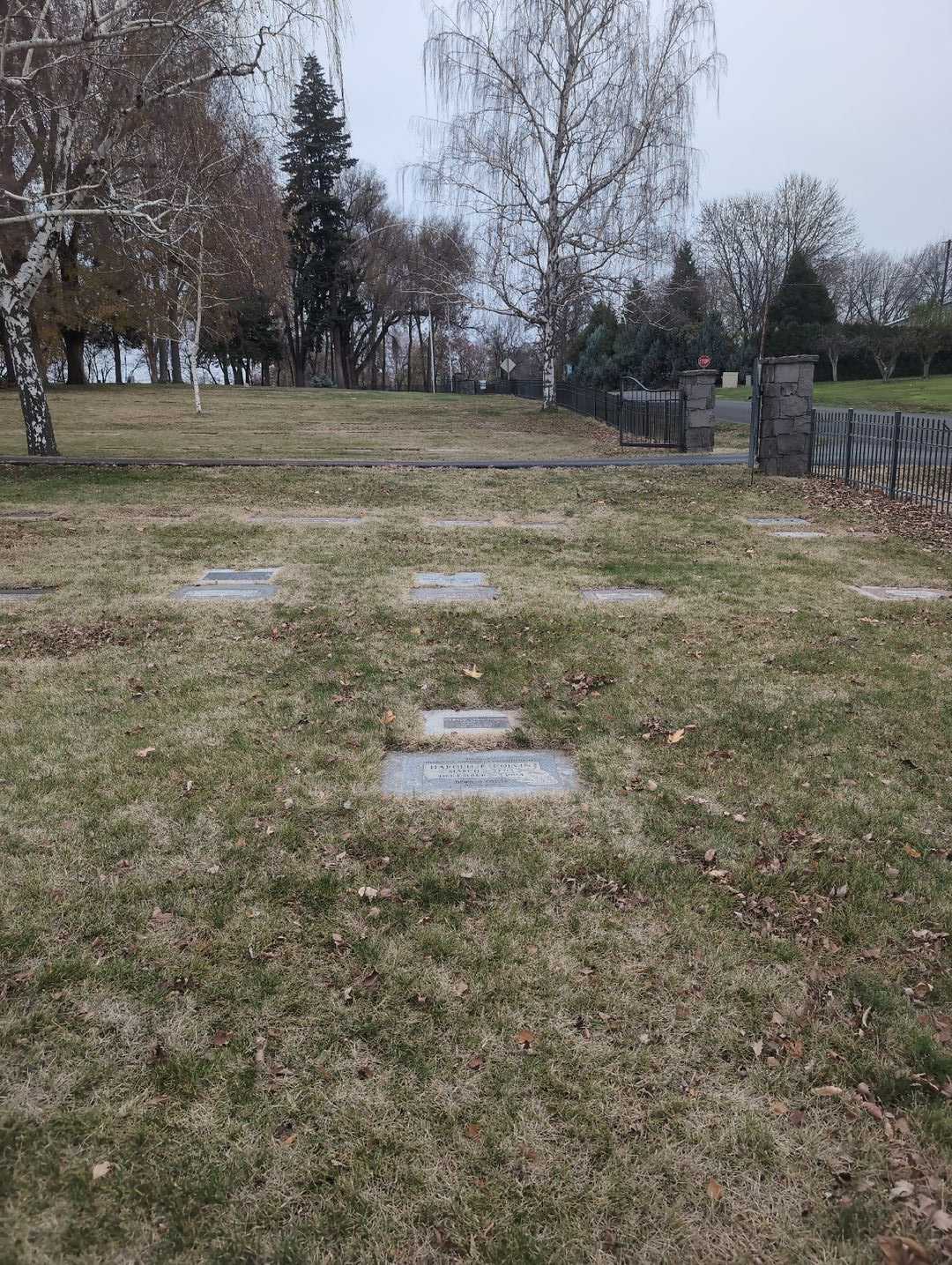 DeWillo Colvin's grave. Photo 4