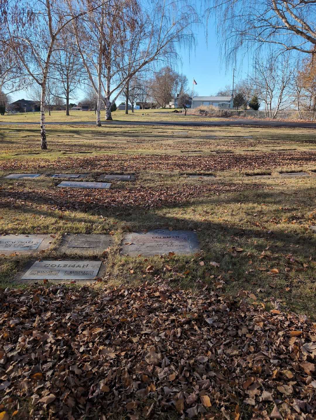 Gene R. Coleman's grave. Photo 2