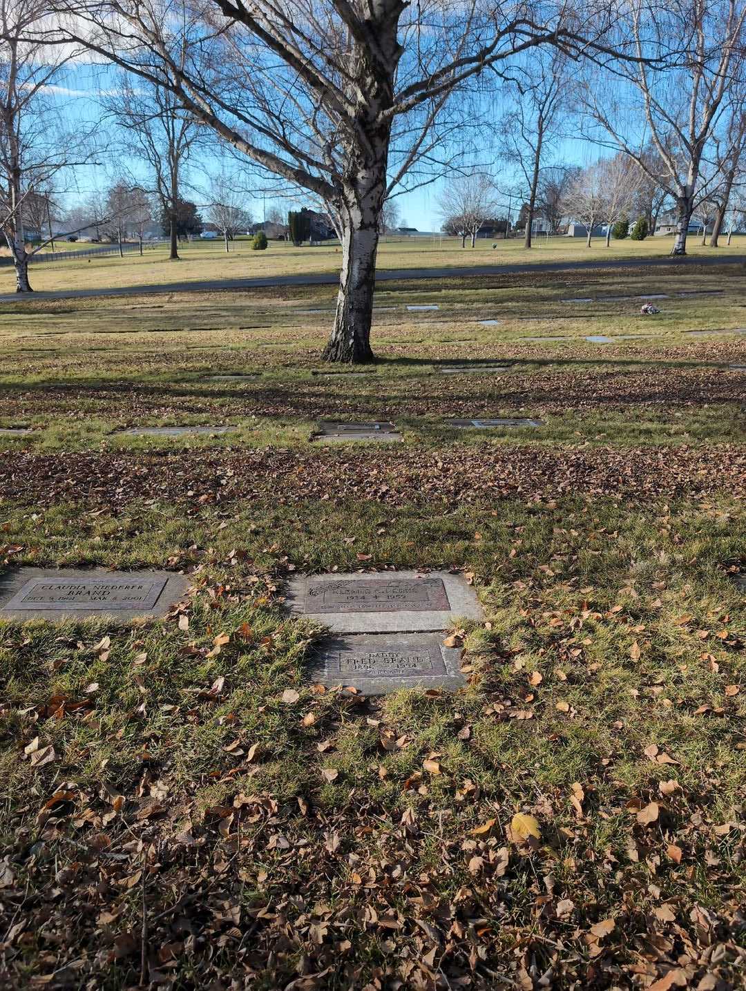 Fred Brand's grave. Photo 3