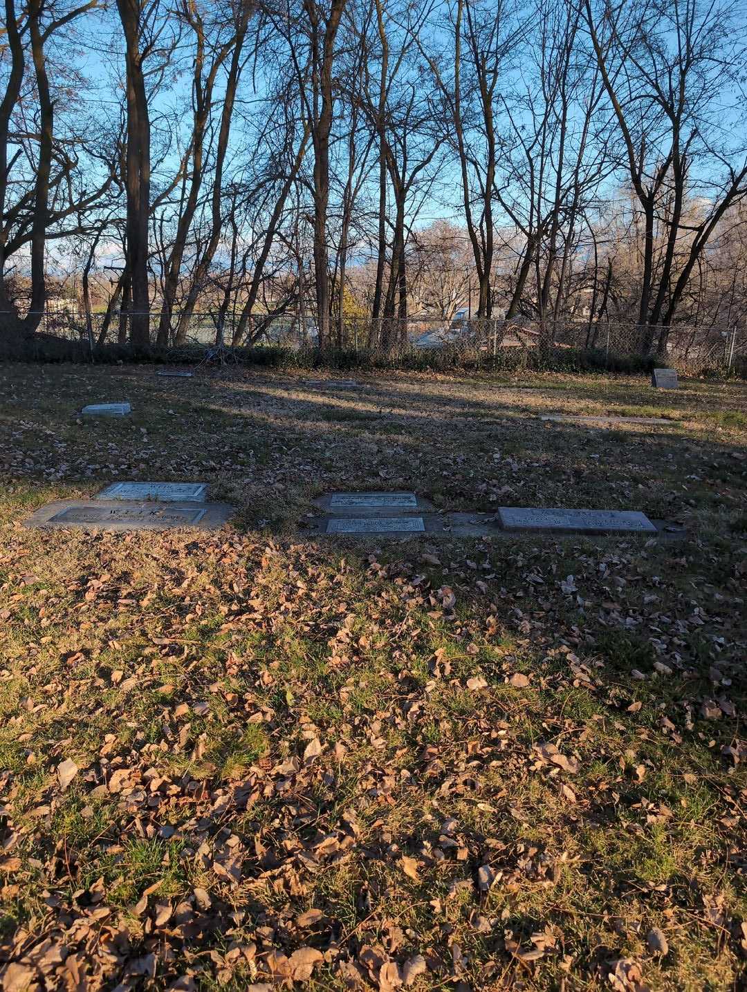 Vivian Louise Rambow Johnson's grave. Photo 2