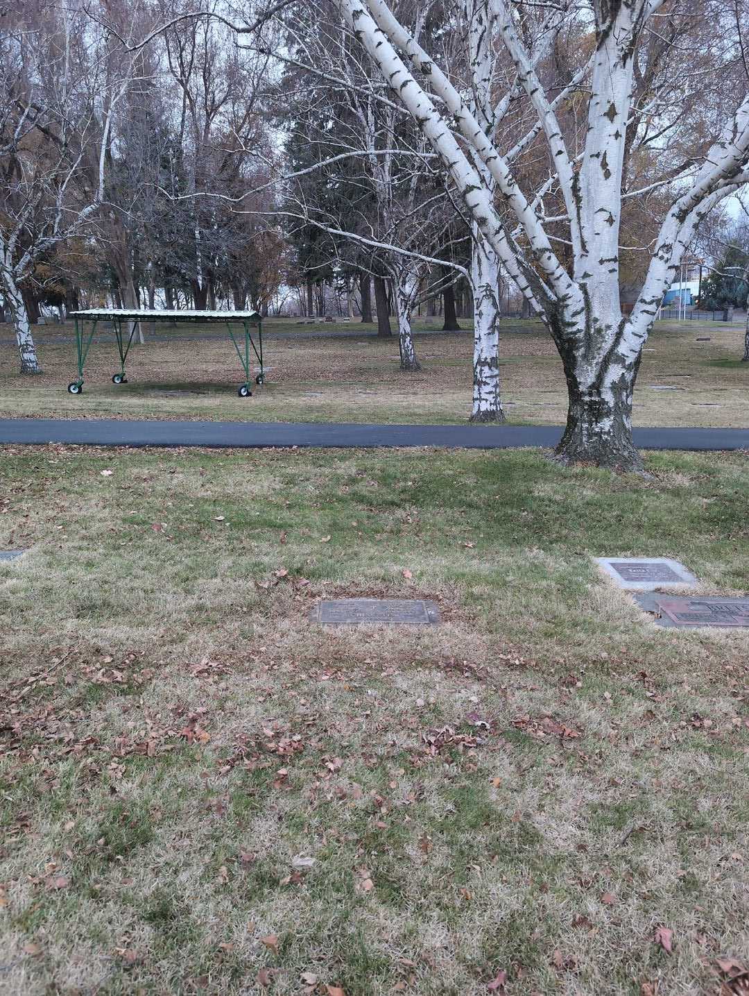 Catherine Virginia Chedester's grave. Photo 2