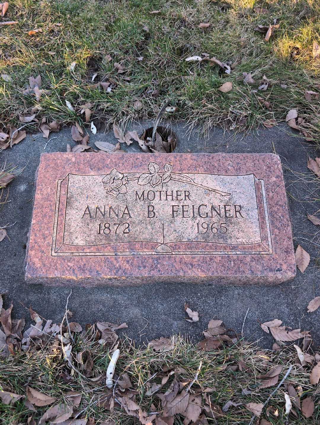 Anna B. Feigner's grave. Photo 3