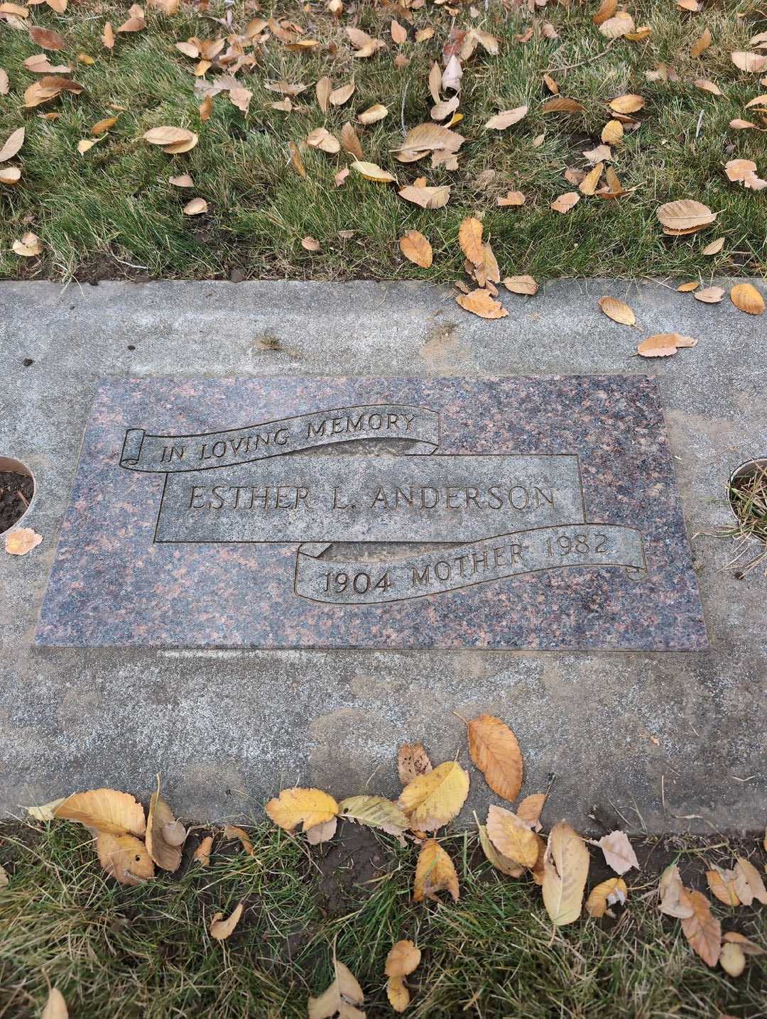 Walter Morell Anderson's grave. Photo 3
