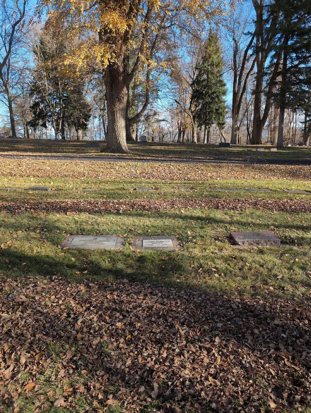 Hazel Samples Brown's grave. Photo 2