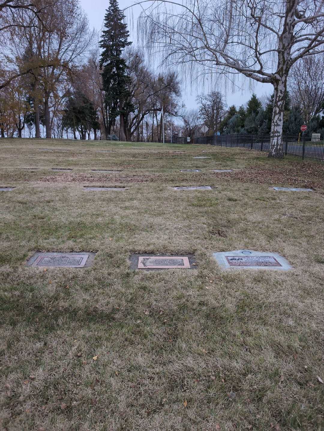 Dorothy M. Rose's grave. Photo 2