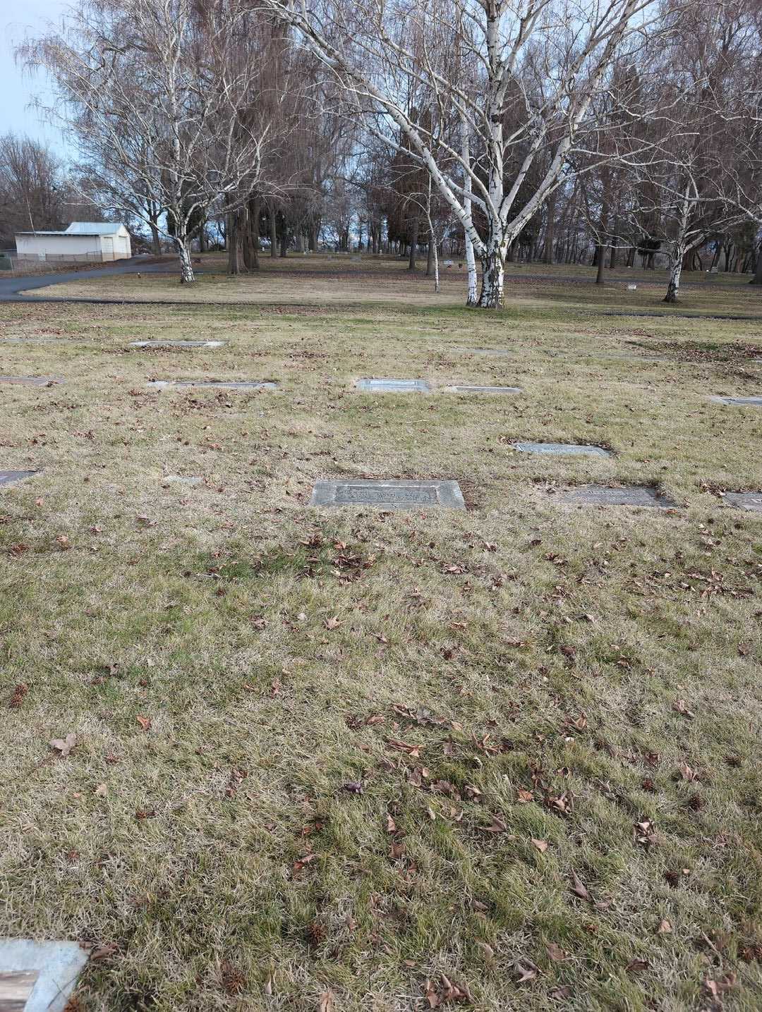 Sally Janette Nash's grave. Photo 2