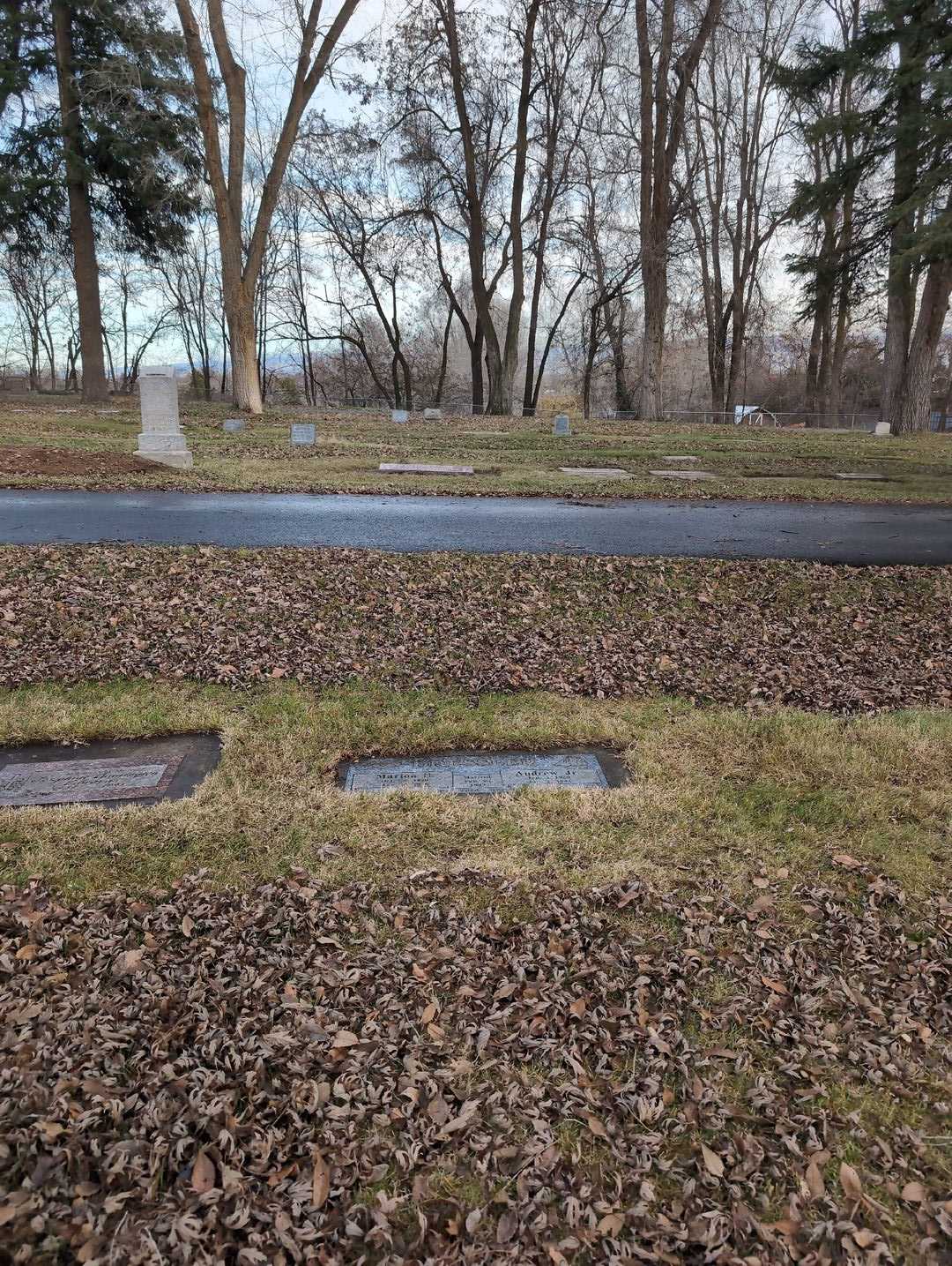 Andrew "Andy" Dressler Junior's grave. Photo 2