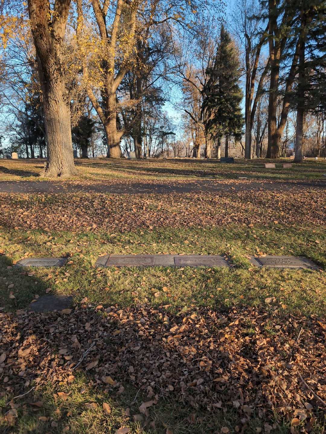 Lucille Morgan's grave. Photo 2