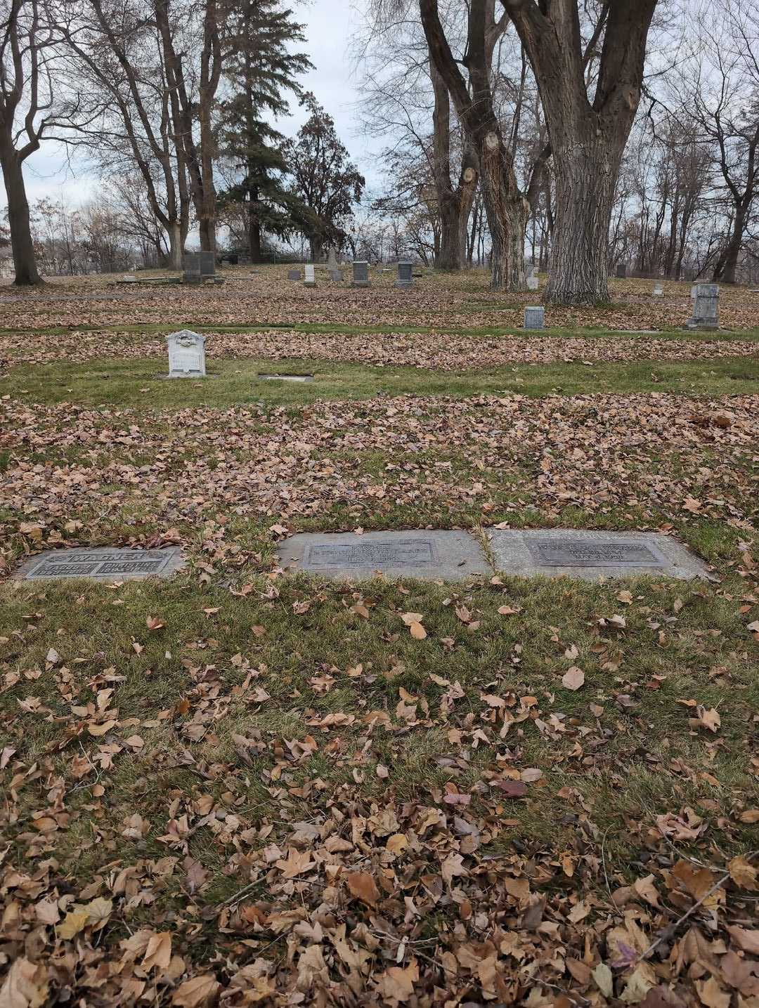 Ethel Lucile Baker Fewell's grave. Photo 2