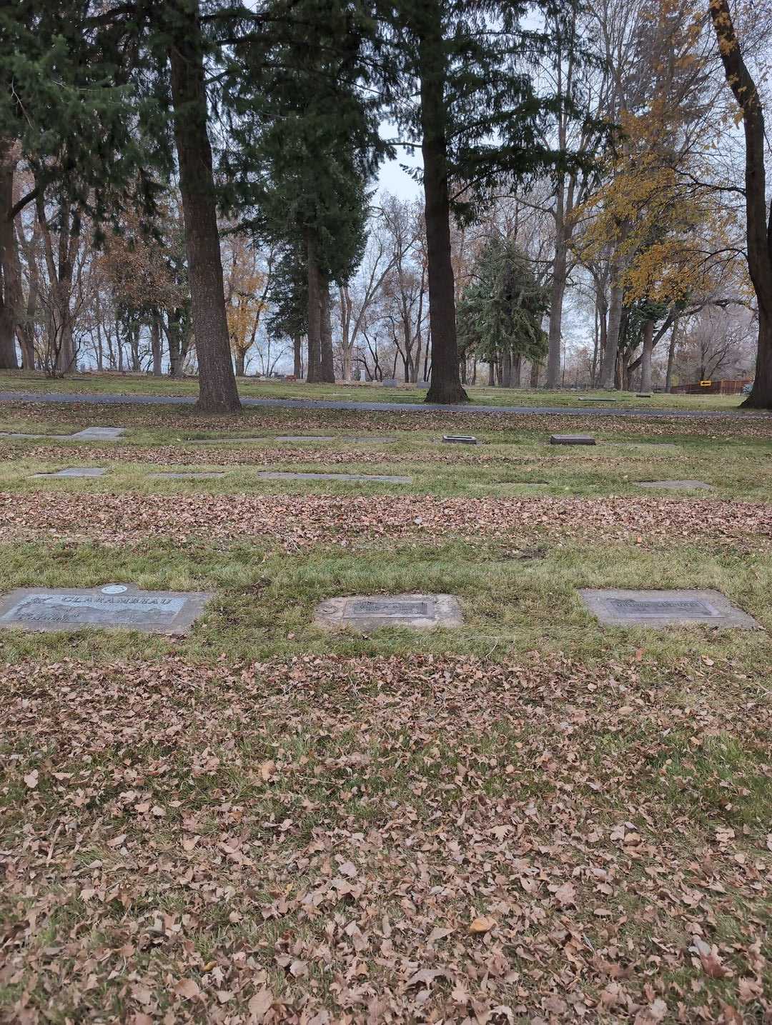 Maude A. Darnall's grave. Photo 2