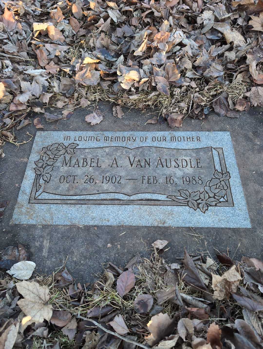 Isaac W. Van Ausdle's grave. Photo 1