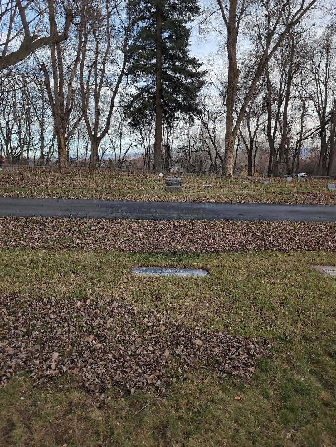 Bryce J. Young's grave. Photo 2