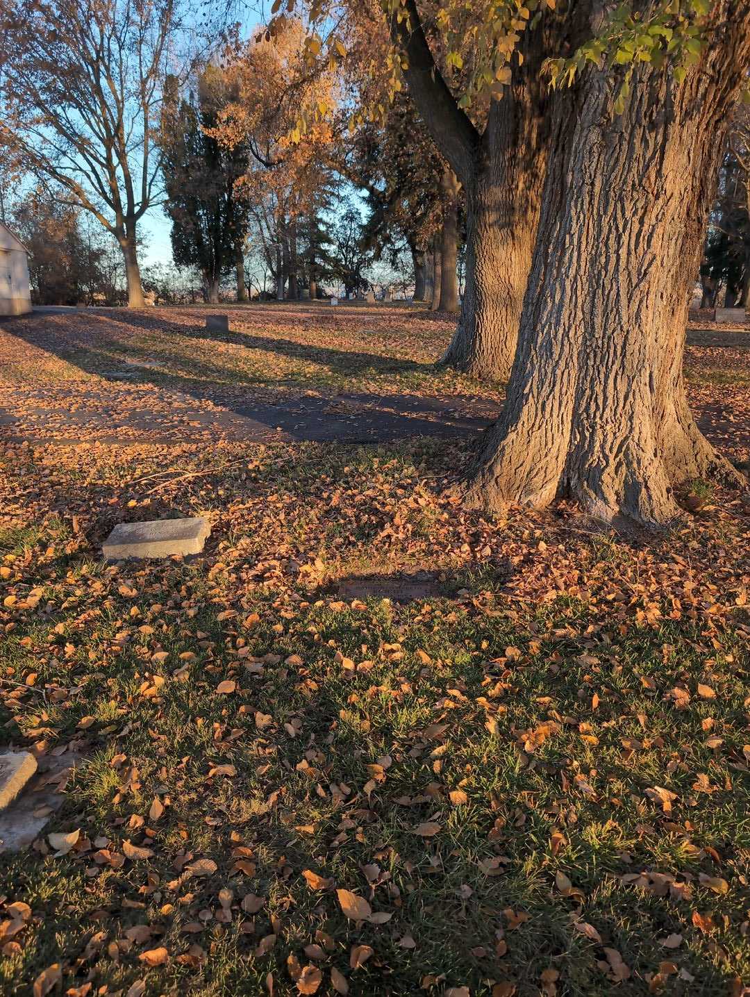 Kathryn Elizabeth Knight's grave. Photo 2