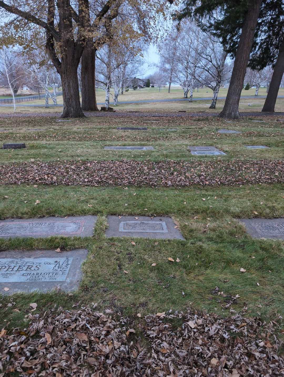 Elna May James's grave. Photo 2