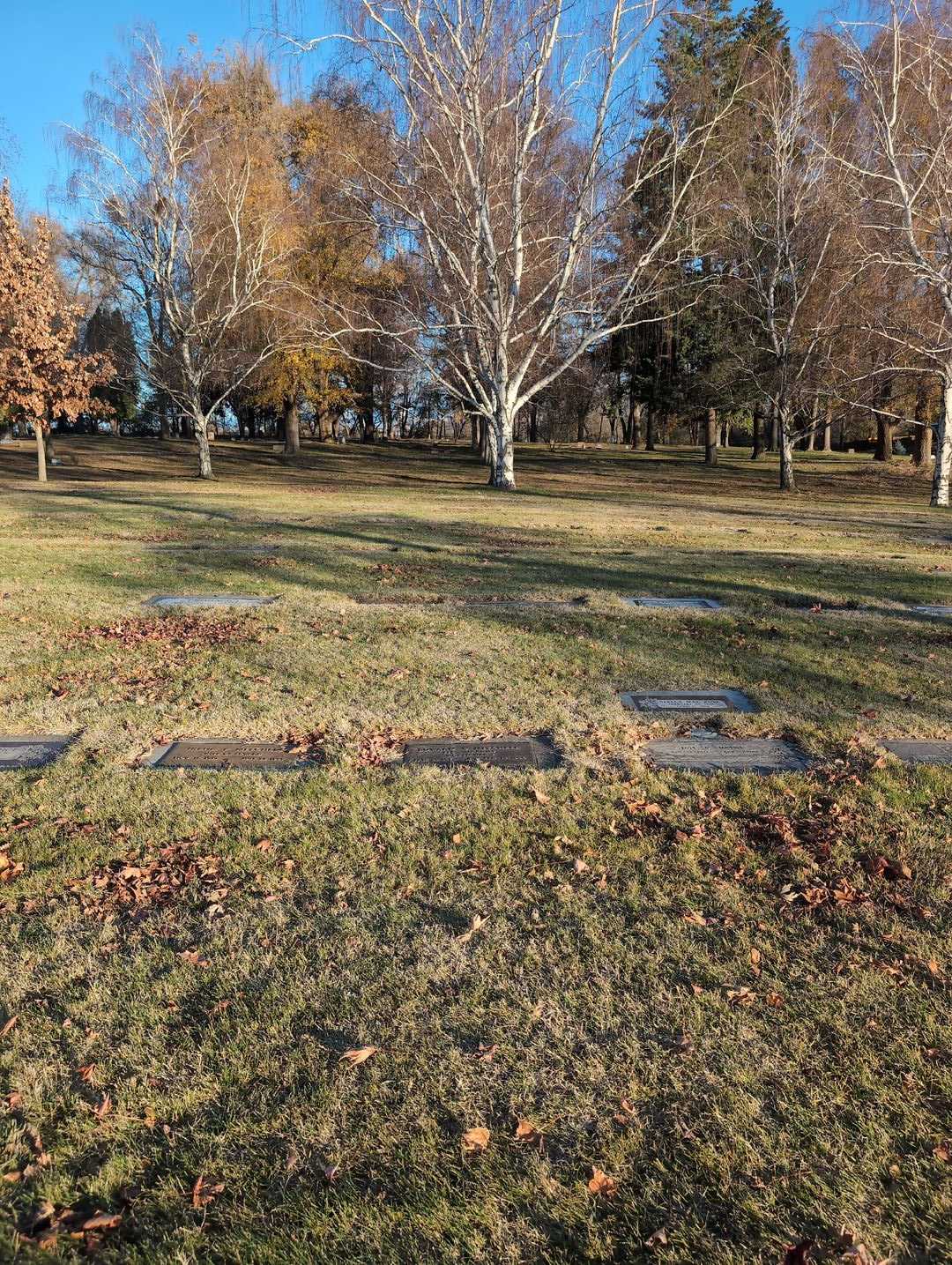 Doctor Edward C. Mitchell's grave. Photo 2